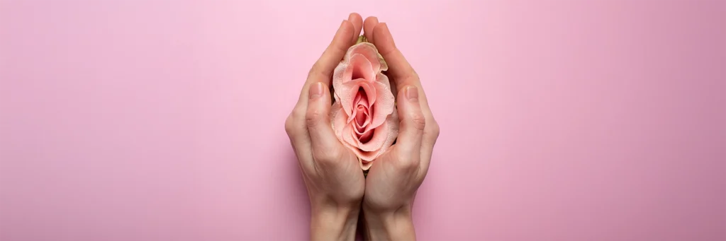 Mano femeninas tomando una flor sobre fondo rosado